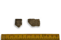 F 09215
<br/>
<br/>
<em></em>
